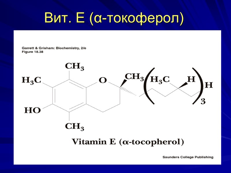 Вит. Е (α-токоферол) Вит. Е (α-токоферол)